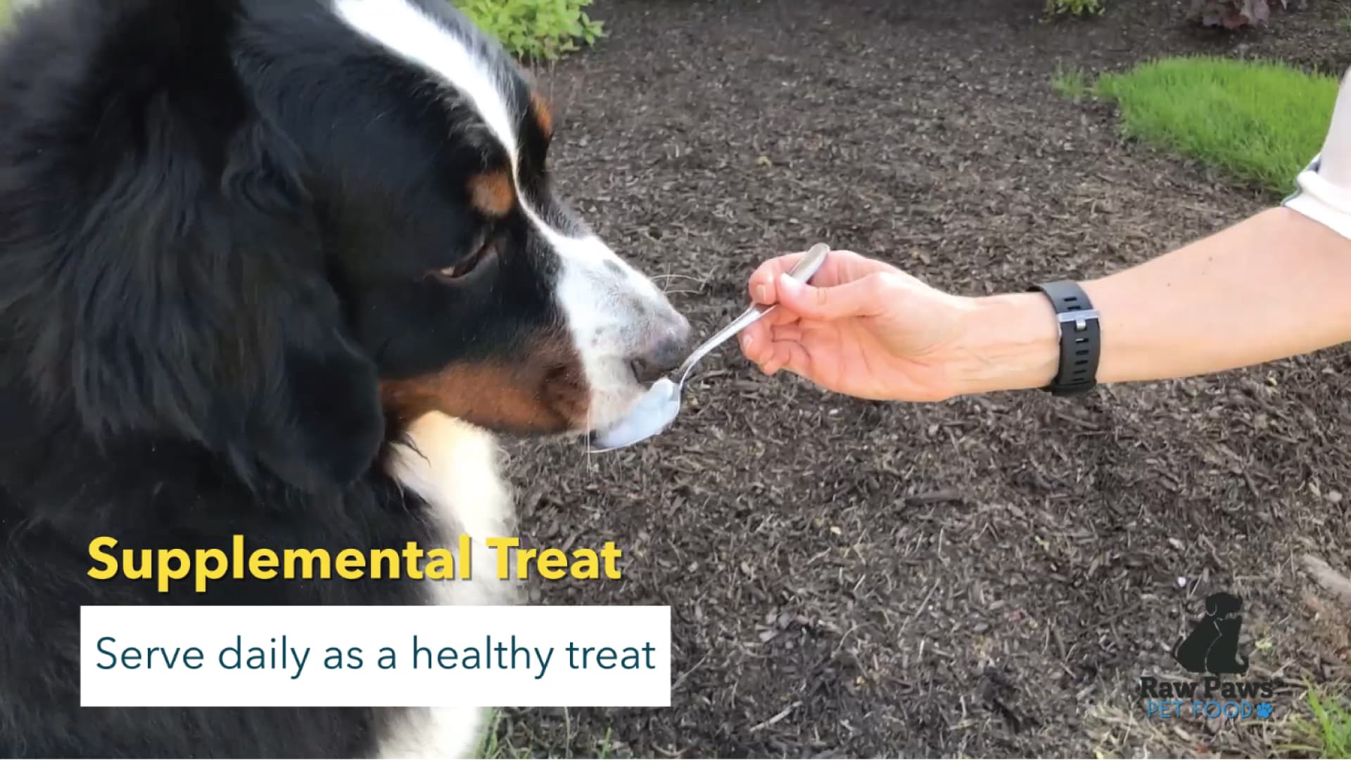 Raw Paws Virgin Organic Coconut Oil for Dogs & Cats, 4-oz - Treatment for Itchy Skin, Dry Nose, Paws - Hot Spot Lotion - Natural Hairball Remedy for Cats - image 6