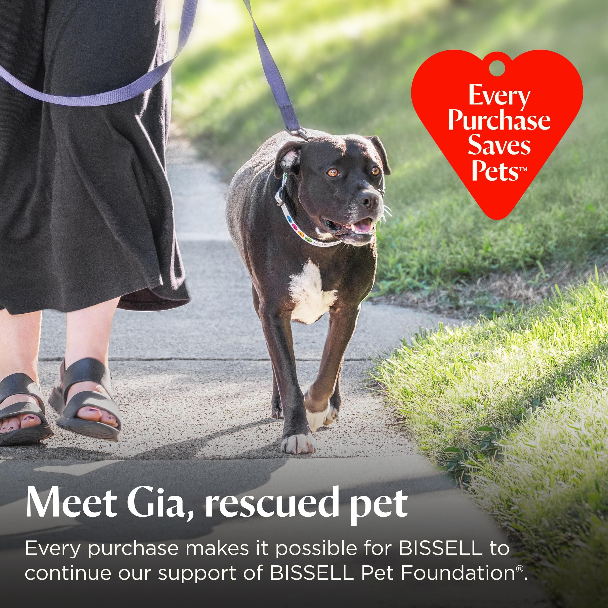 Bissell Pet Hair Eraser Allergen Lift-Off with Powerful Suction, HEPA, Tangle-Free Brush Roll, 39883 - image 6