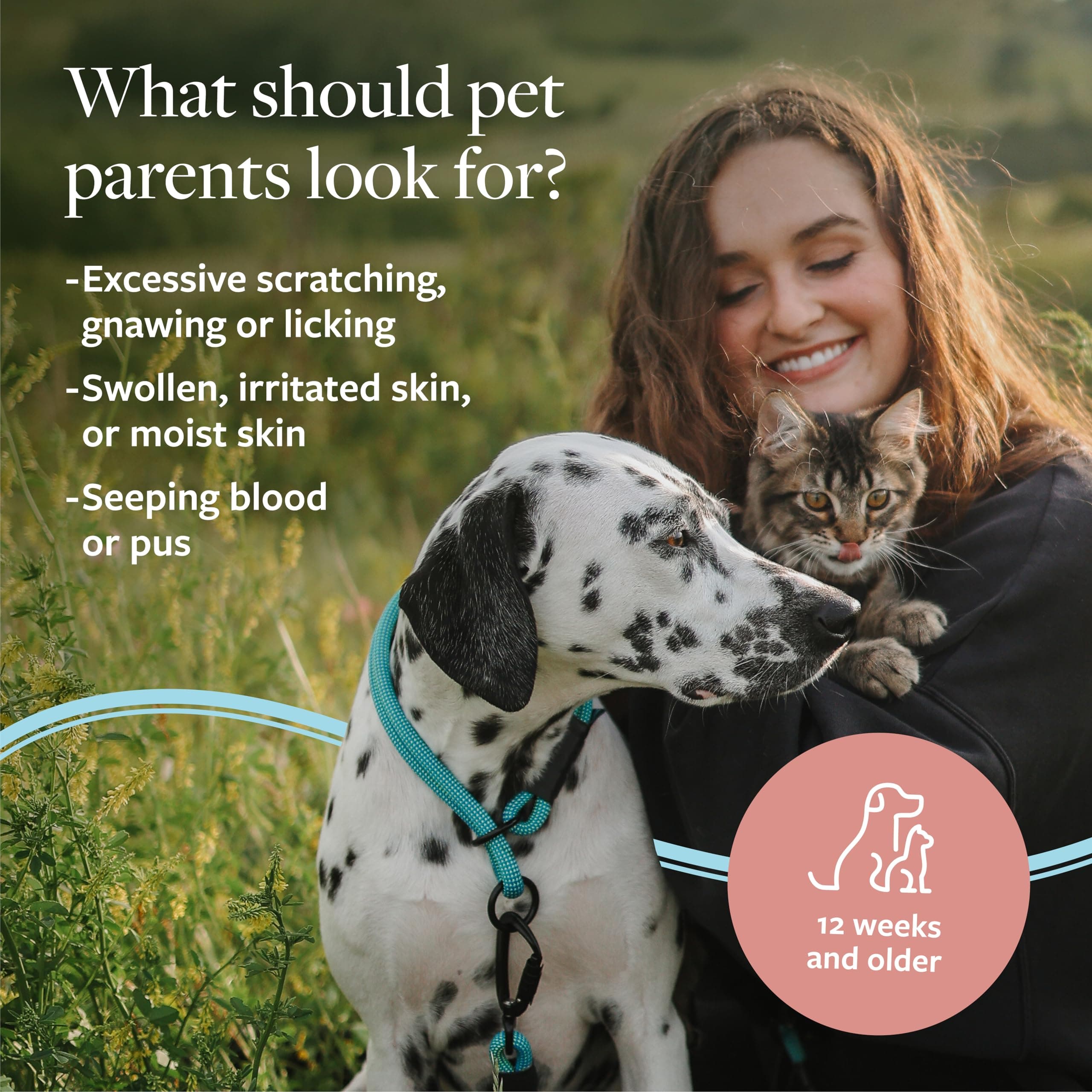 Veterinary Formula Clinical Care Hot Spot & Itch Relief Medicated Shampoo for Dogs and Cats 16oz – Helps Alleviate Sensitive Skin, Scratching, and Licking of Coat - image 4