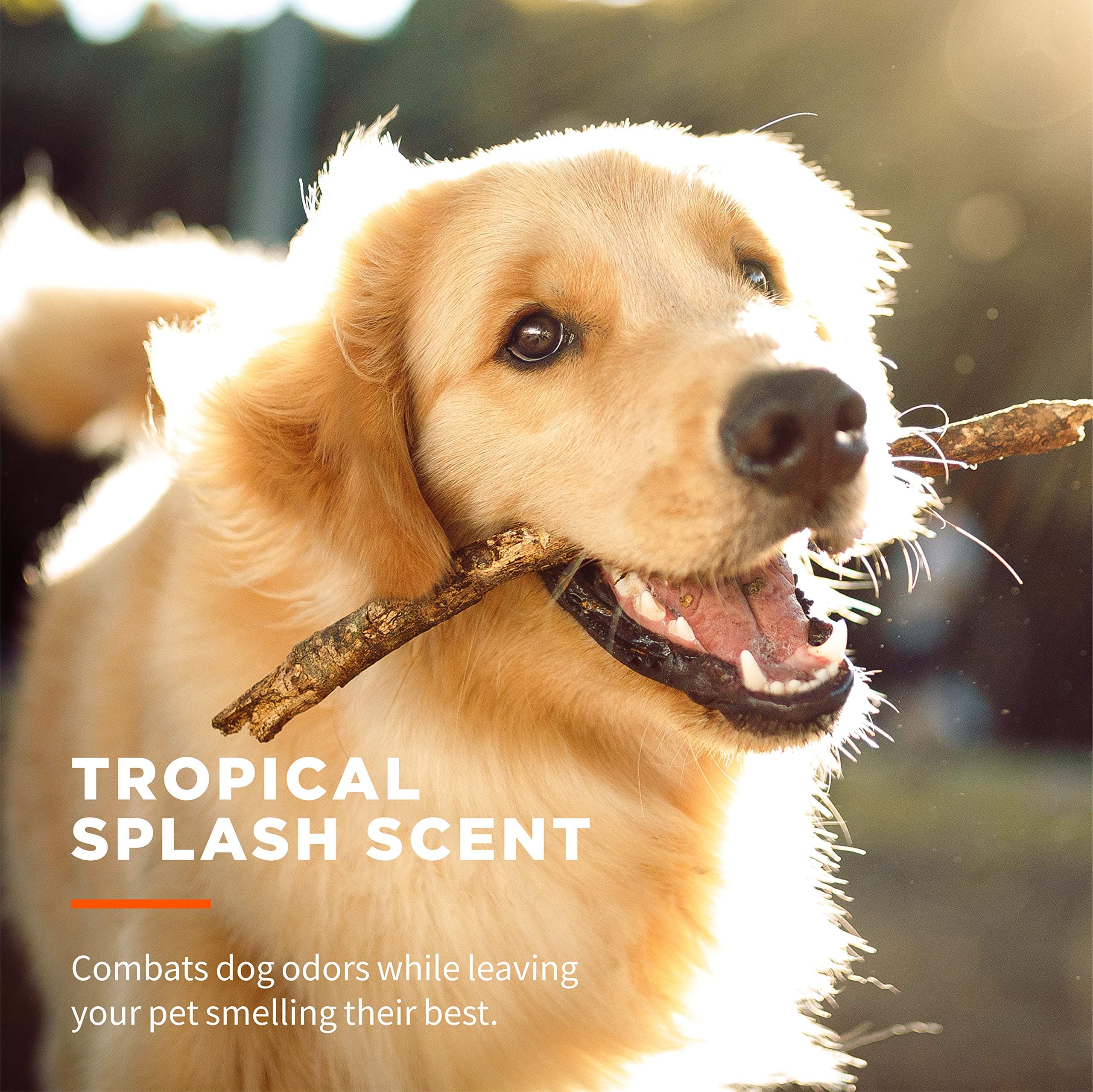 Wet Ones for Pets Multi-Purpose Dog Wipes With Aloe Vera | Dog Wipes For All Dogs in Tropical Splash, Wet Ones Wipes for Paws & All Purpose | 50 Ct Cannister Dog Wipes - image 6