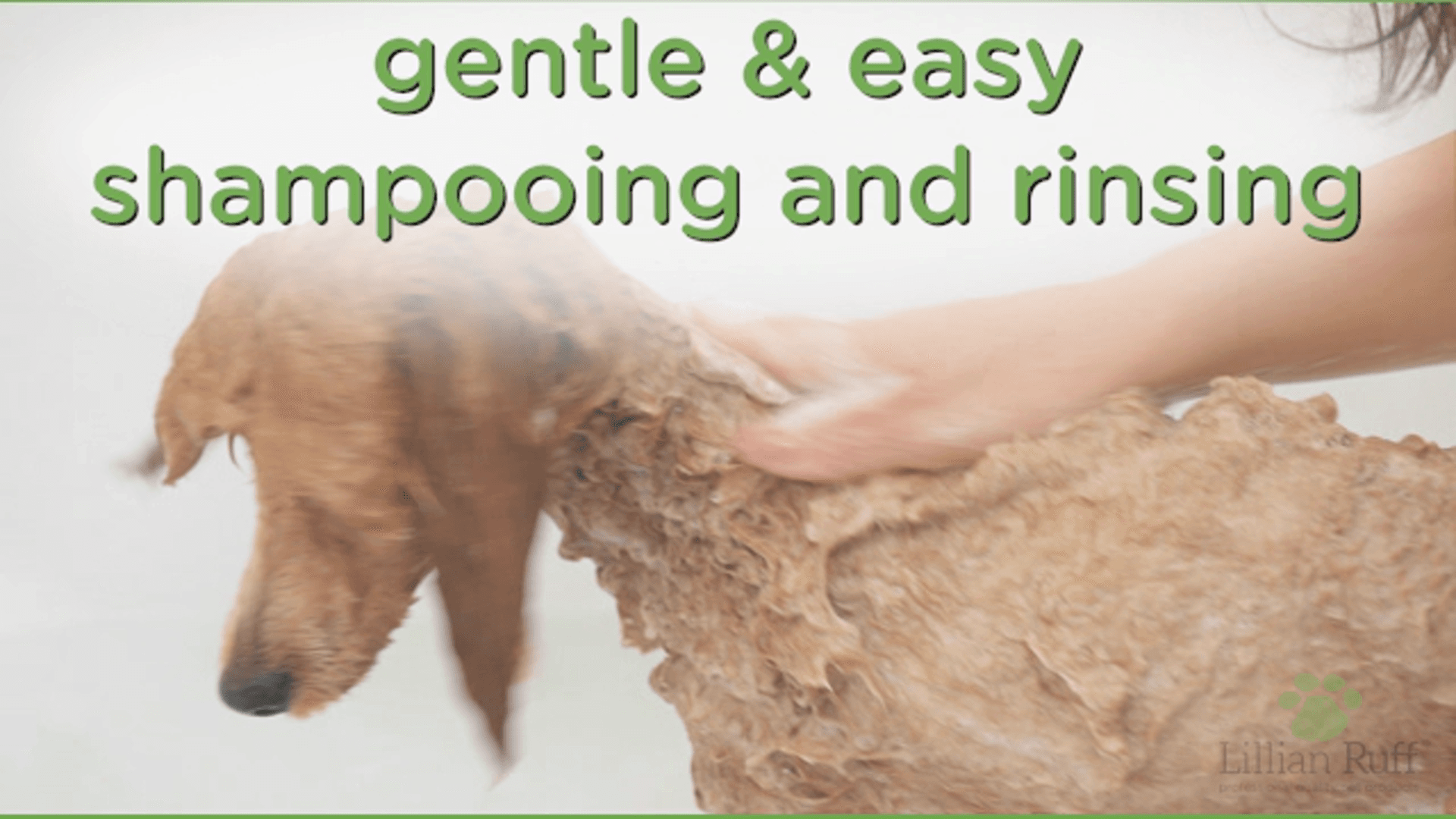 Lillian Ruff PRO Formula Deodorizing Oatmeal Dog Shampoo & Conditioner Set - Calm Itching & Allergies, Ultra-Nourishing Dry Skin Relief - Oatmeal, Aloe, Coconut Oil, Lavender & Provitamin B5, USA Made - image 6