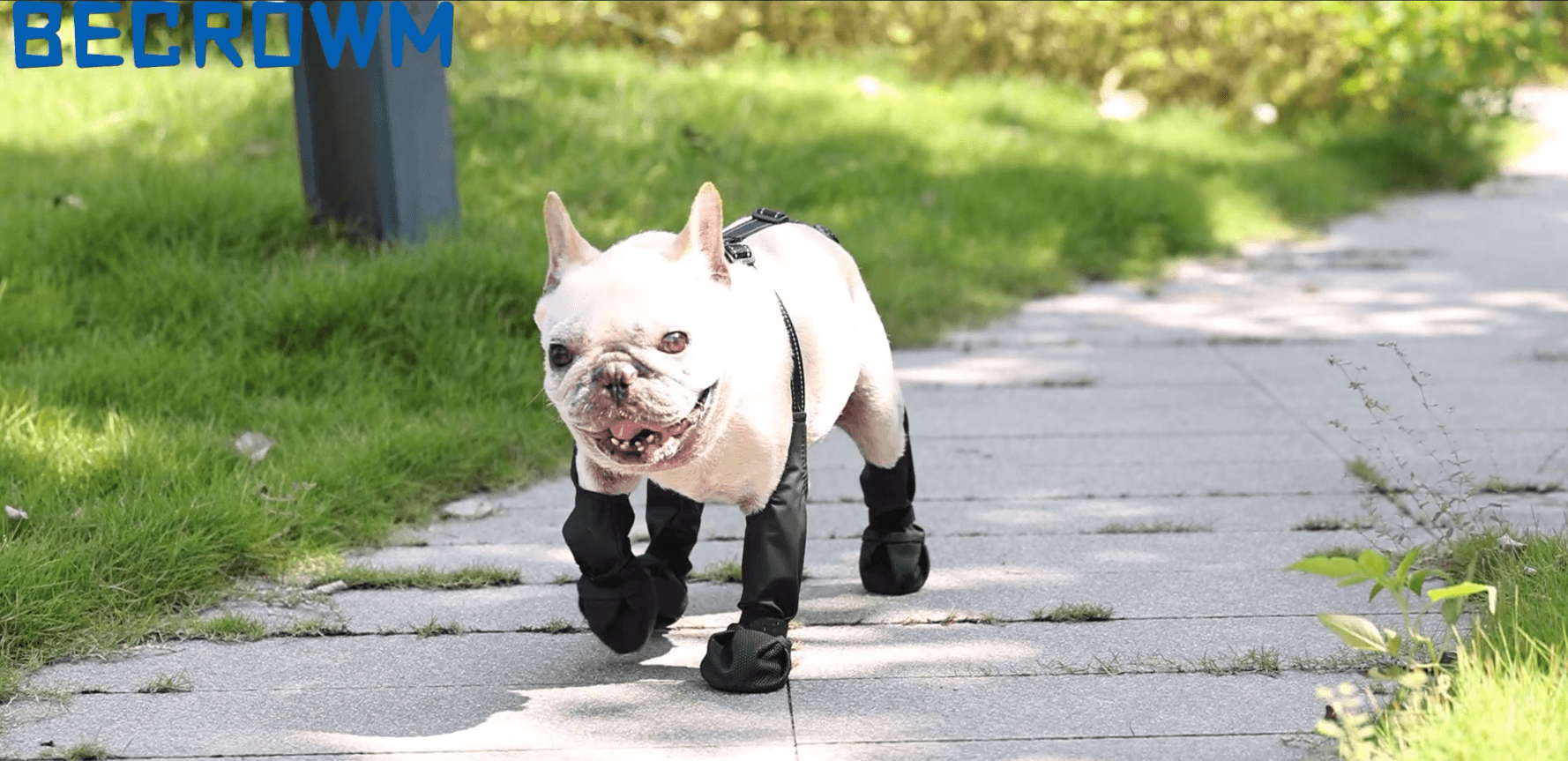 Waterproof Dog Boots for Small/Medium Dogs -Dog Paw Protectors Dog Suspender Boots Anti-Slip Pet Shoes for Outdoor Walking, Reflective Stay-On,Dirt-Proof Comfortable Booties (Black, Small) - image 7