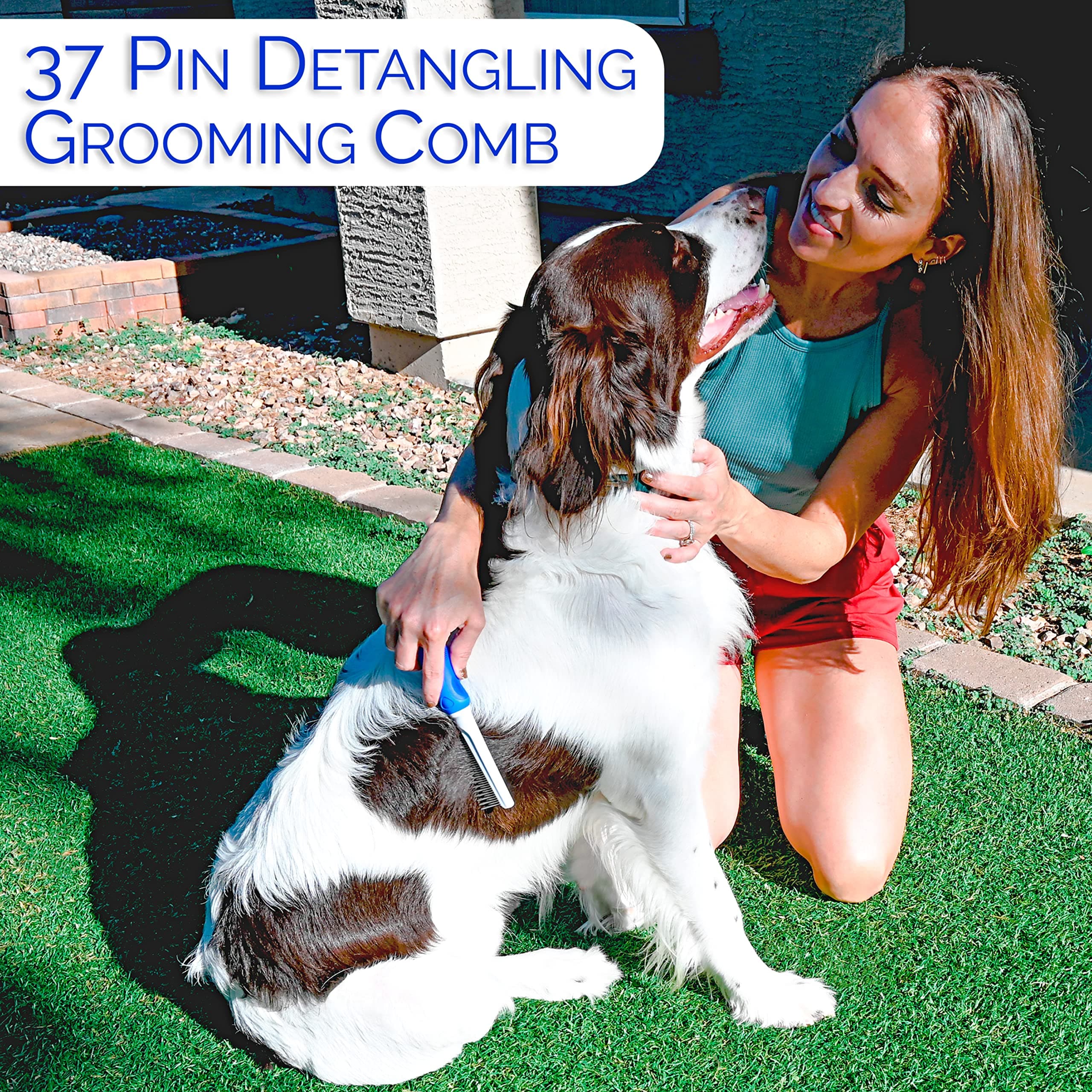 6 In 1 Premium Dog Brush Set - Dog Grooming Brushes - Ball Pin & Bristle Brush, Curved Blade Dematting Comb, Slicker Brush, Deshedding Edge Comb, Detangling Pet Comb - image 8