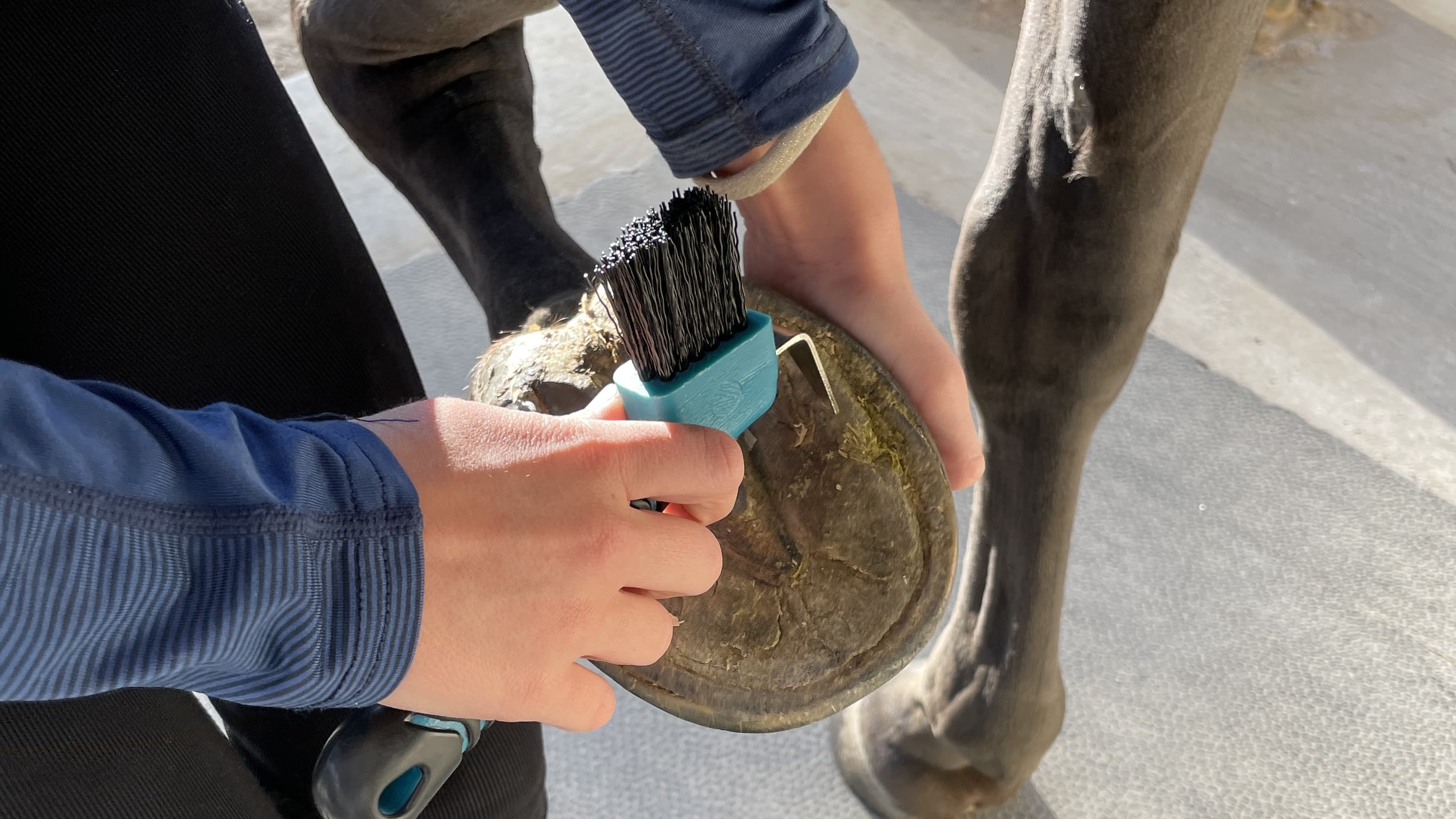 MacMaxe Ergonomic Horse Hoof Pick Brush with Heavy-Duty Rust-Resistant Steel Pick and Durable Nylon Bristles – Ideal for Hoof Care, Easy to Clean, Suitable for Beginners and Advanced Riders (Black) - image 3