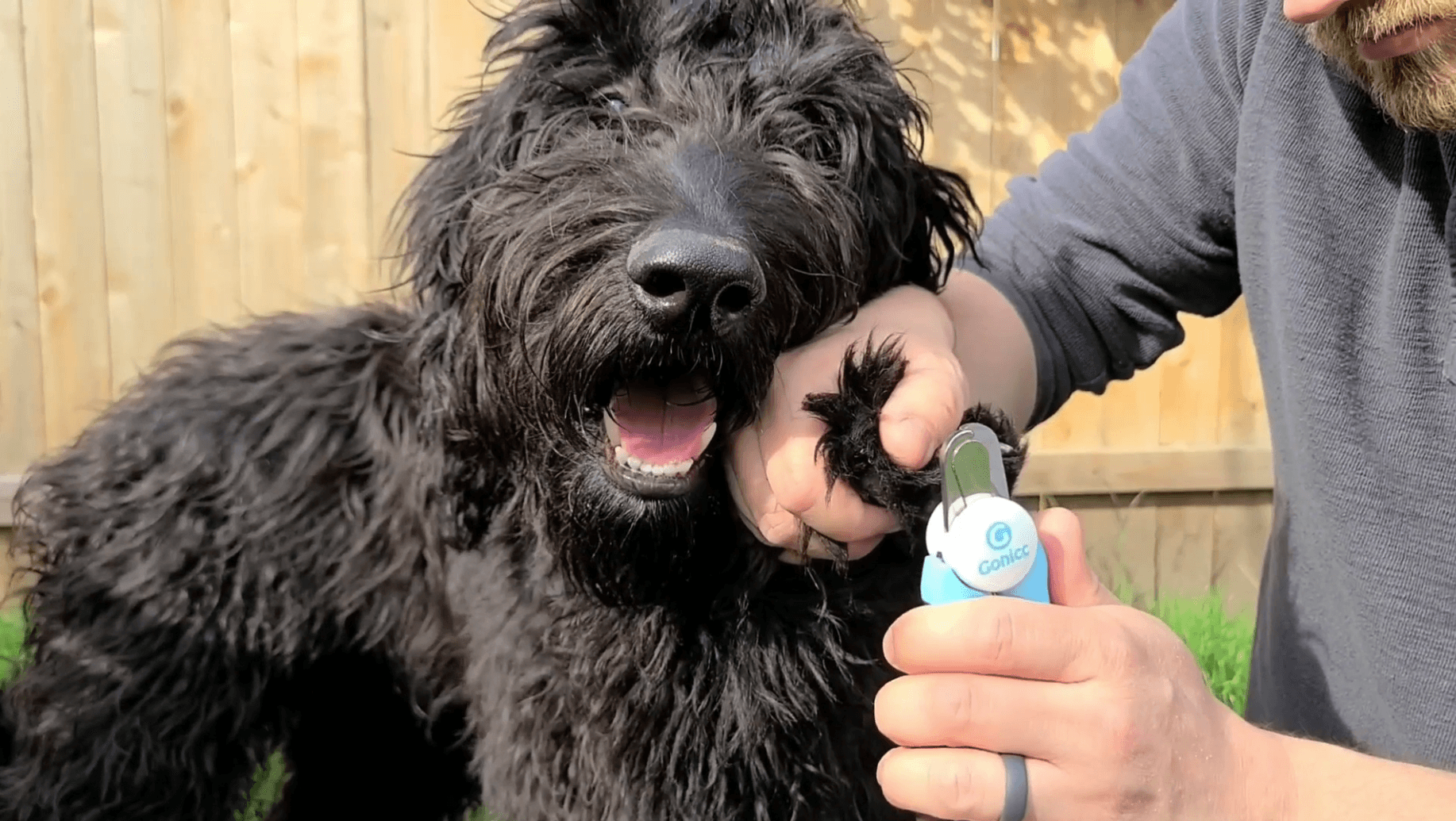 gonicc Professional Small Dog and Cat Nail Clippers Sharp Stainless Steel Pet Nail Trimmers(with Free Nail File in Handle), for Rabbit, Small Animal, with Safety Guard to Avoid Overcutting - image 7